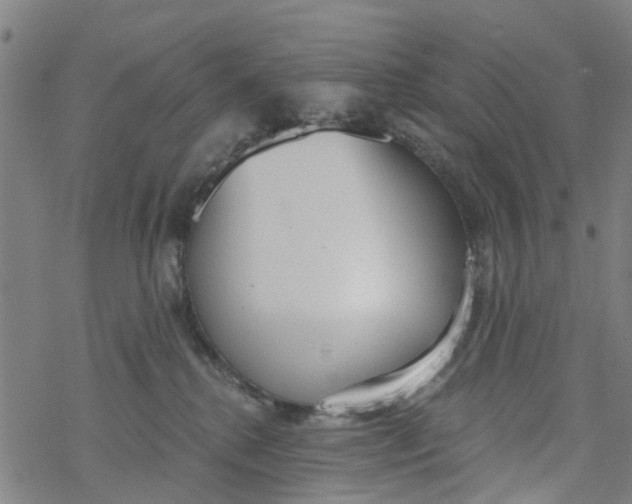 X0000077400280200611101828