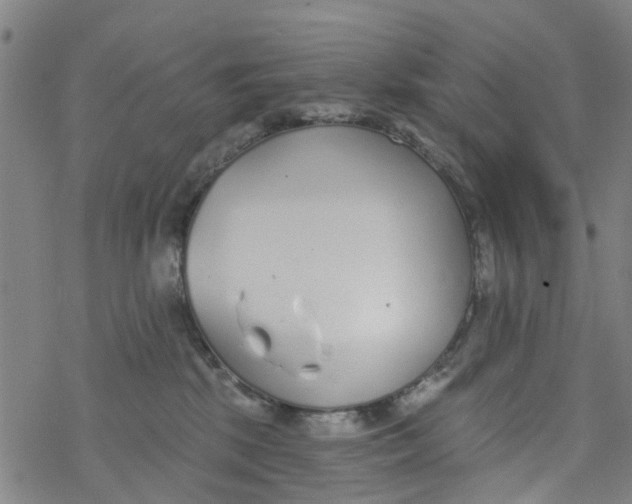 X0000077400281200611101828