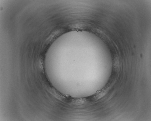 X0000077400282200611101828