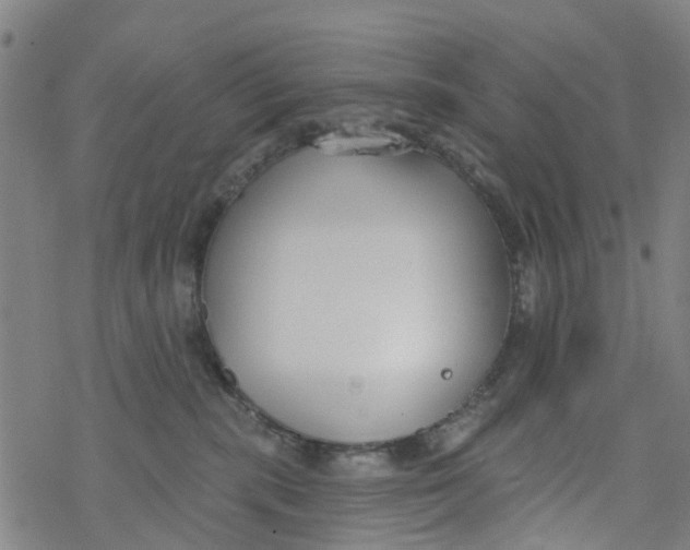 X0000077400283200611101828