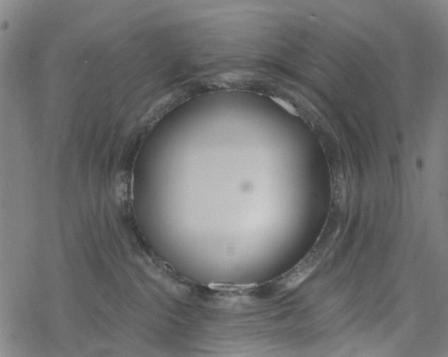 X0000077400284200611101828