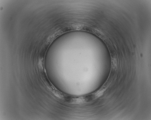 X0000077400286200611101828