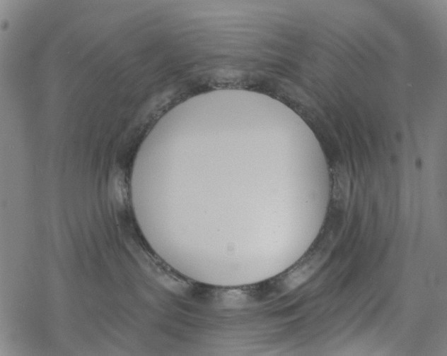 X0000077400287200611101828