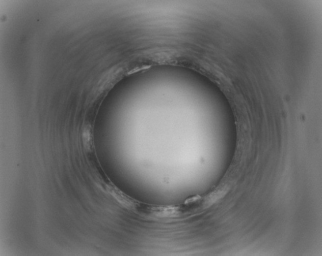 X0000077400288200611101828