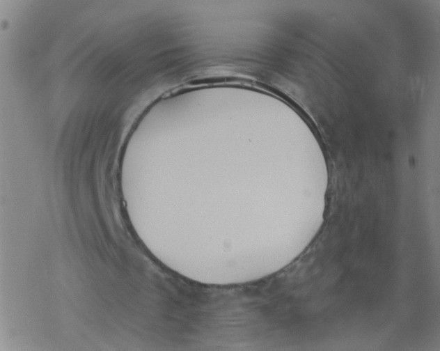 X0000077400289200611101827