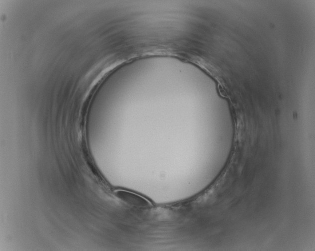 X0000077400290200611101827