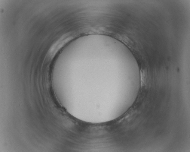 X0000077400291200611101827