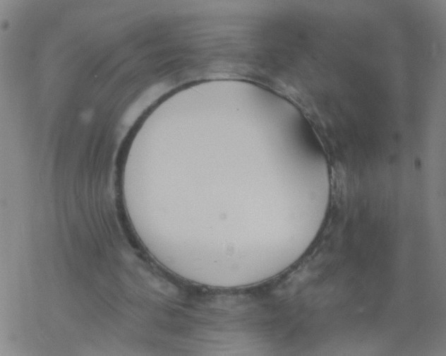 X0000077400292200611101827