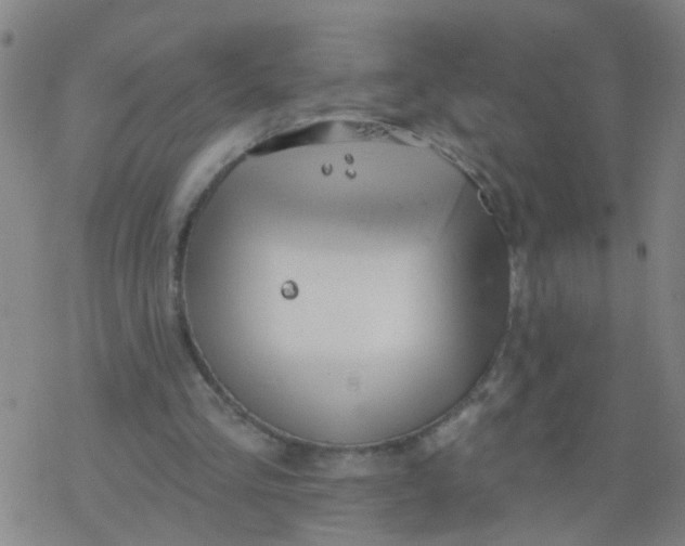 X0000077400293200611101827