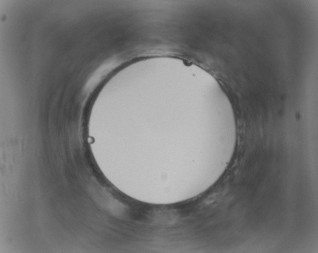 X0000077400296200611101827