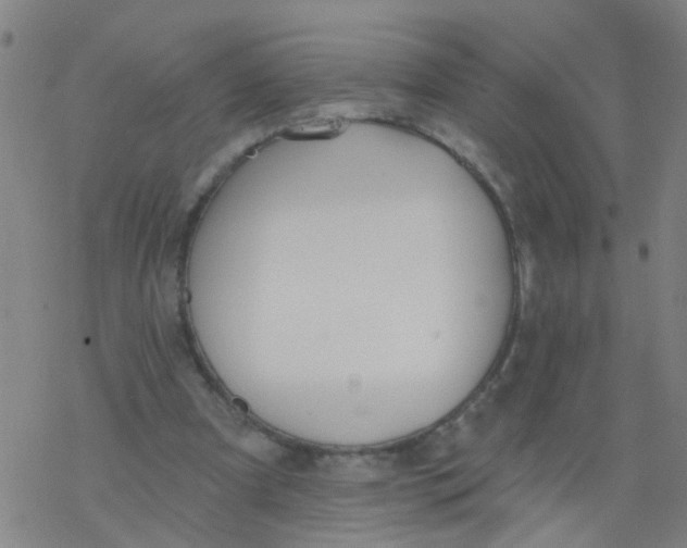 X0000077400297200611101827