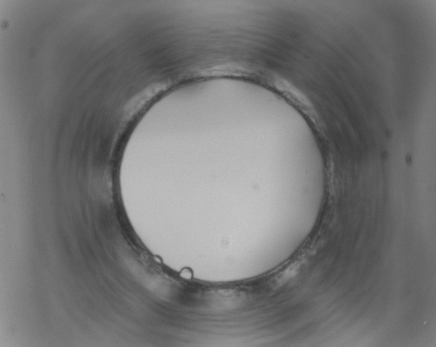 X0000077400298200611101827