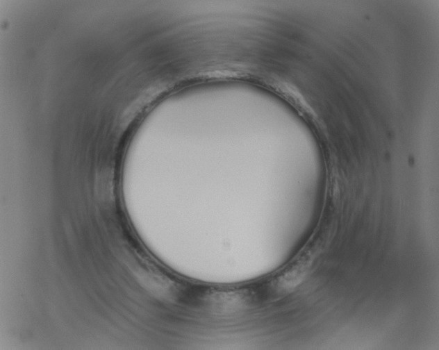 X0000077400299200611101827