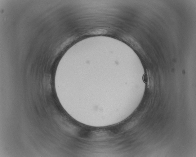 X0000077400300200611101827