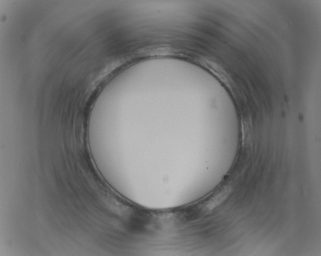 X0000077400301200611101827