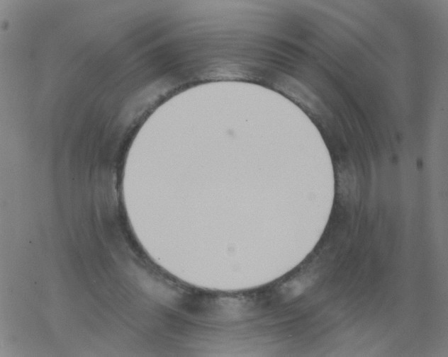 X0000077400302200611101827