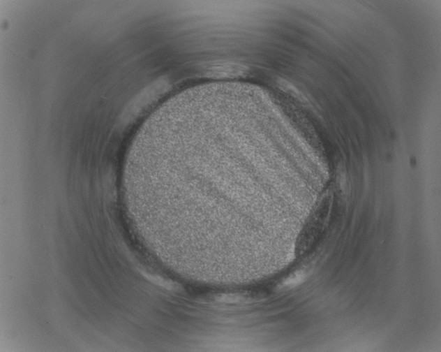 X0000077400303200611101827