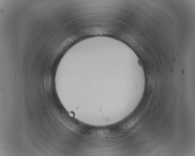 X0000077400304200611101827