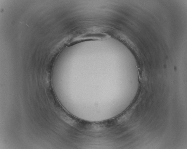 X0000077400305200611101827