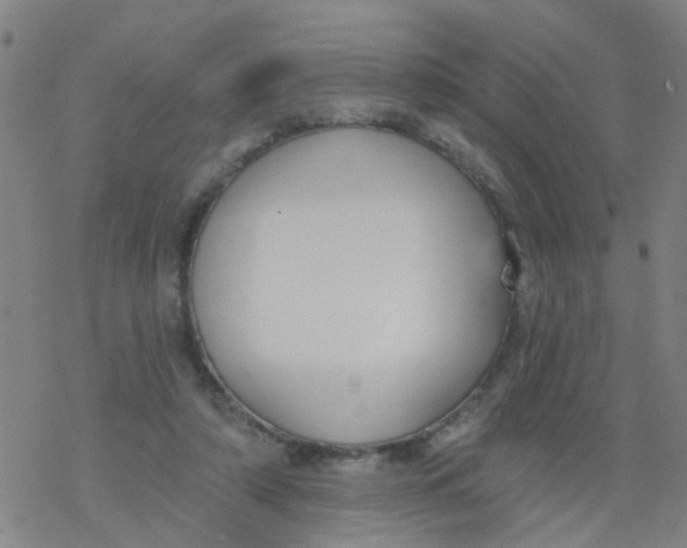 X0000077400306200611101827