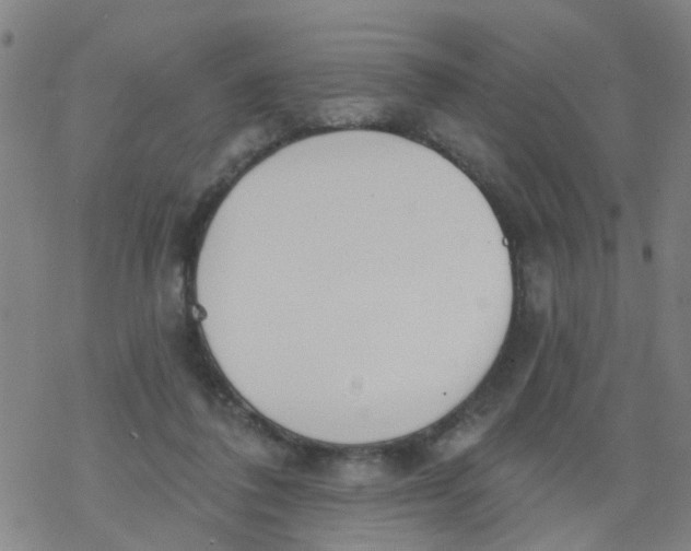 X0000077400308200611101827