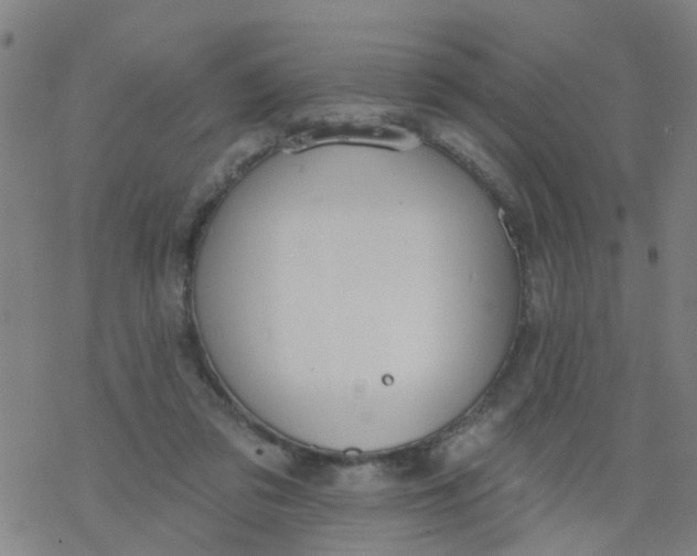 X0000077400309200611101827