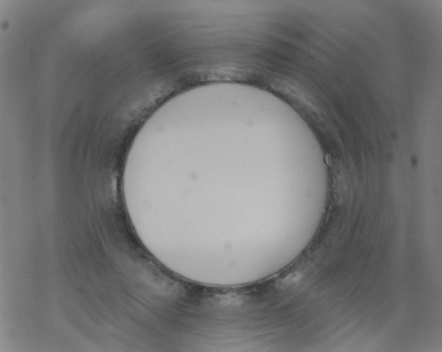 X0000077400310200611101827