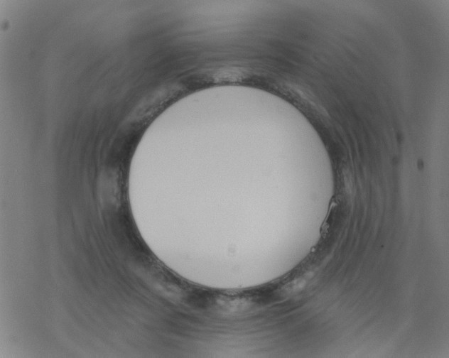 X0000077400311200611101827