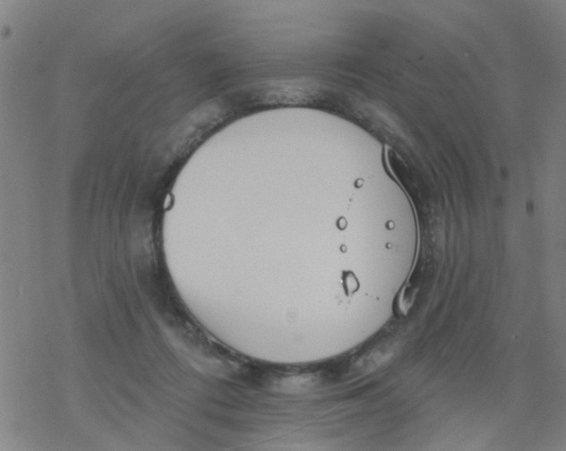 X0000077400312200611101827