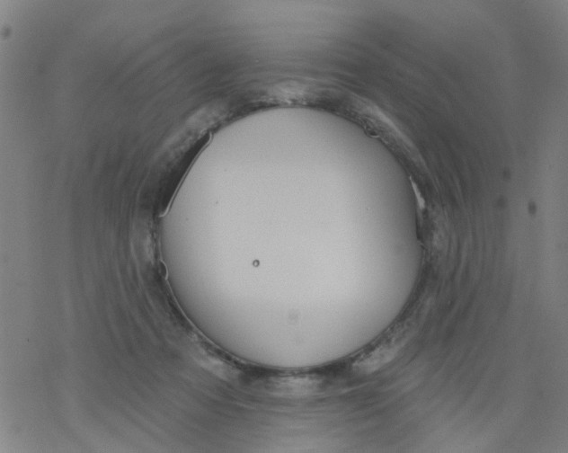 X0000077400313200611101827