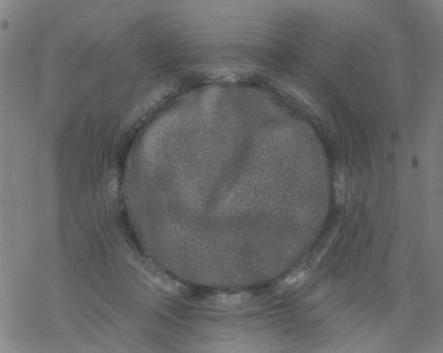 X0000077400314200611101827