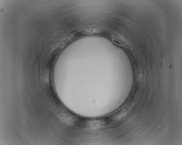 X0000077400315200611101826