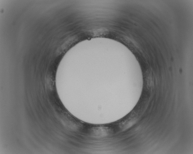 X0000077400316200611101826