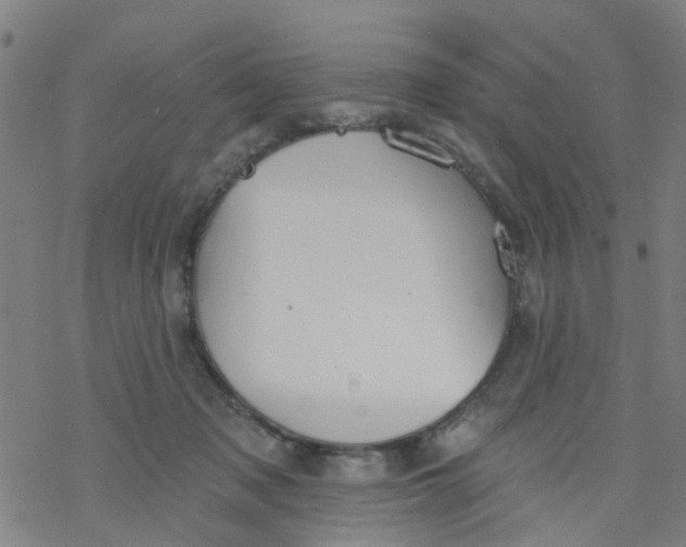 X0000077400317200611101826