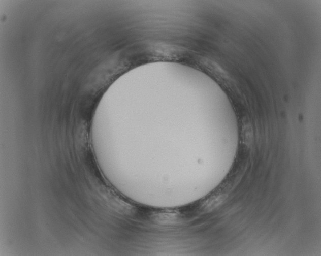 X0000077400318200611101826