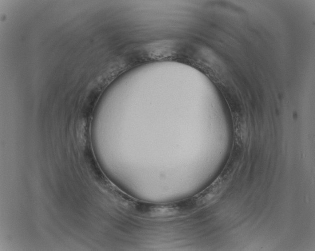 X0000077400319200611101826