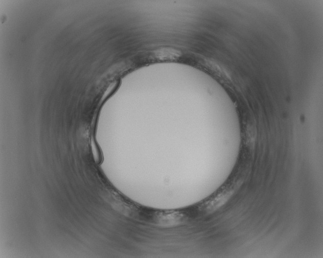 X0000077400321200611101826