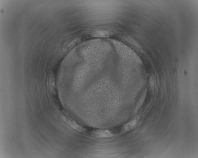 X0000077400322200611101826