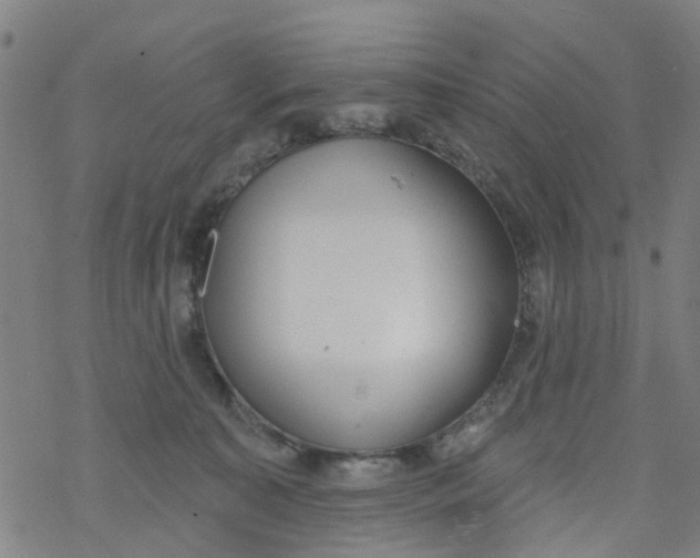 X0000077400323200611101826