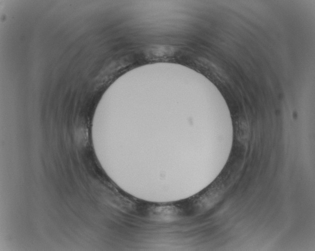 X0000077400324200611101826