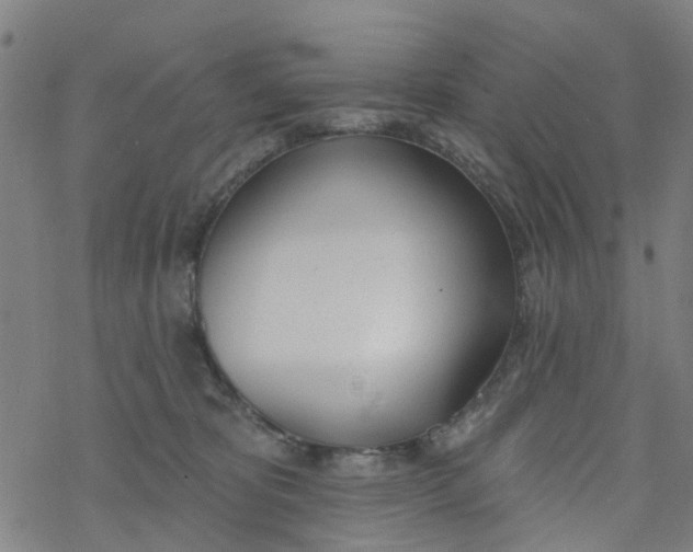 X0000077400325200611101826