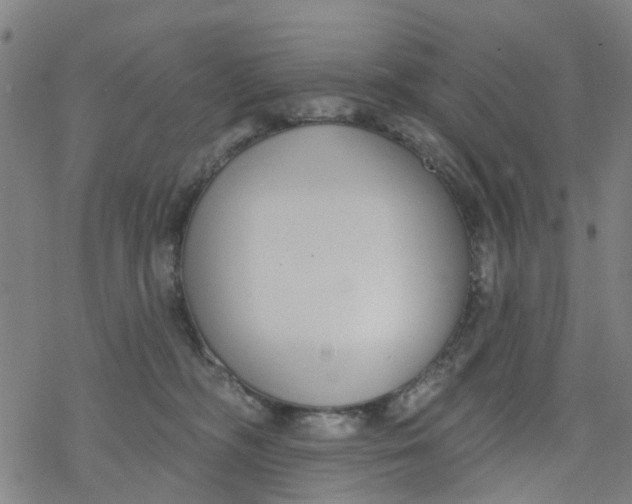 X0000077400326200611101826