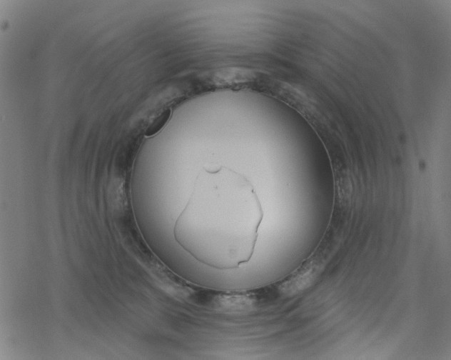 X0000077400327200611101826