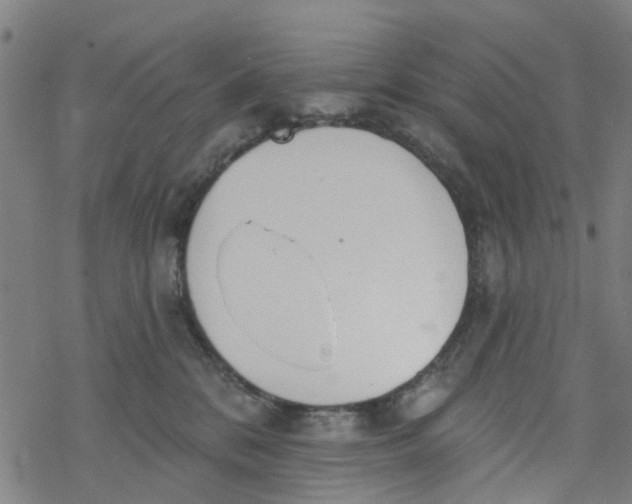 X0000077400328200611101826