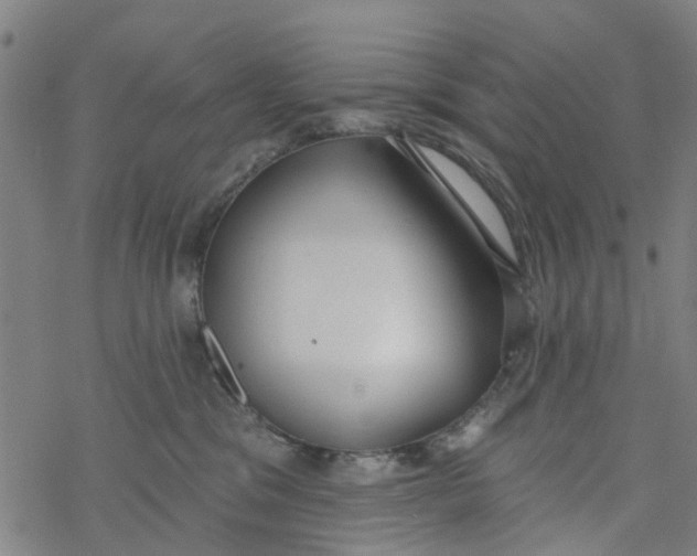 X0000077400329200611101826