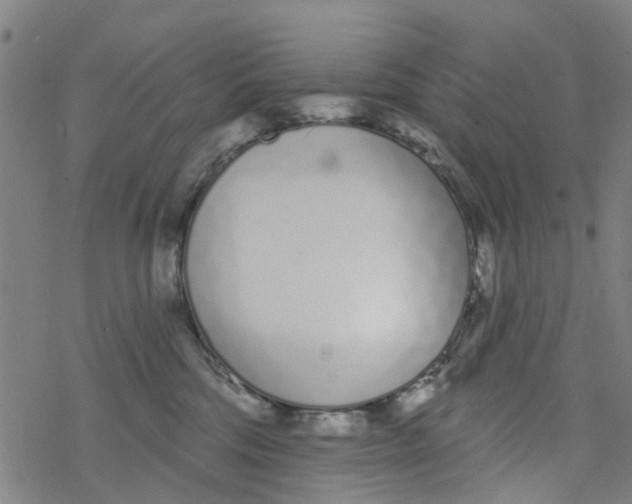 X0000077400330200611101826