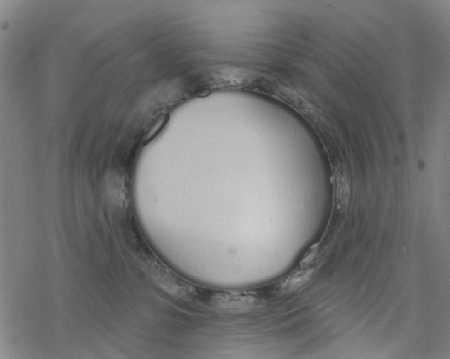 X0000077400331200611101826