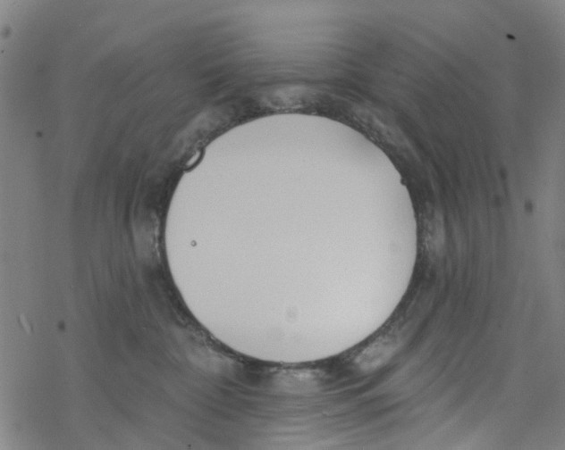 X0000077400332200611101826