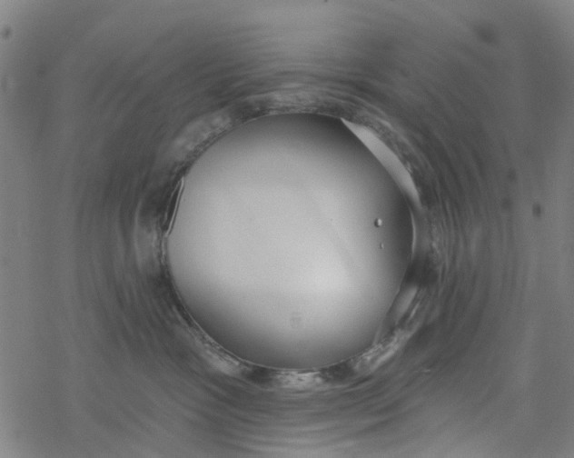 X0000077400333200611101826