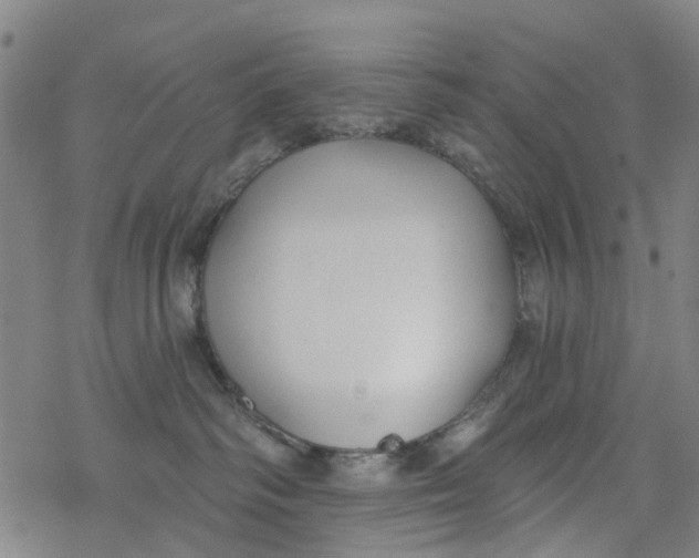 X0000077400334200611101826